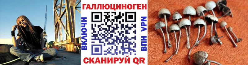 хочу наркоту  Электрогорск  Галлюциногенные грибы MAGIC MUSHROOMS 